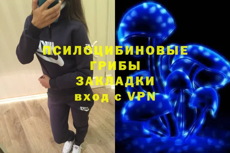 OMG ССЫЛКА  Галич  Галлюциногенные грибы мицелий 